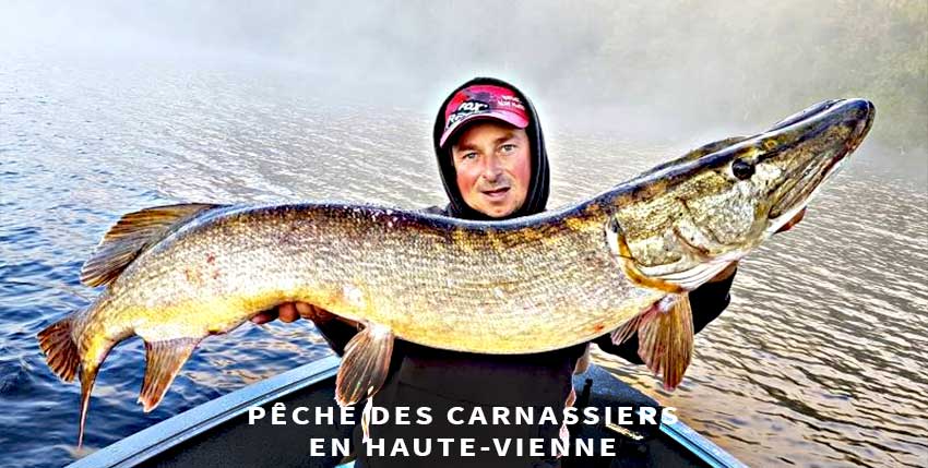 Guide de pêche des carnassiers en Haute-Vienne